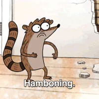 TV Show Regular Show Rigby (Regular Show) PFP