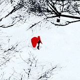 Download Anime RWBY PFP