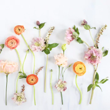  Digital Blooms by Justine Celina