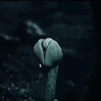 futuristic movie Prometheus PFP