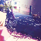 Download Anime 5 Centimeters Per Second PFP