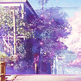 Download Anime 5 Centimeters Per Second PFP