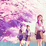 Download Anime 5 Centimeters Per Second PFP