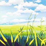Anime 5 Centimeters per Second PFP