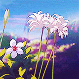 Anime 5 Centimeters per Second PFP