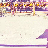 Anime 5 Centimeters per Second PFP