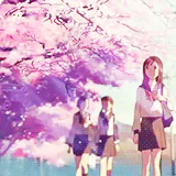 Anime 5 Centimeters per Second PFP
