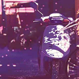 Anime 5 Centimeters per Second PFP