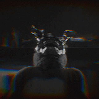 Download Horror Movie Donnie Darko PFP