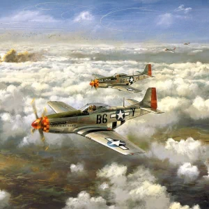 military aircraft PFP