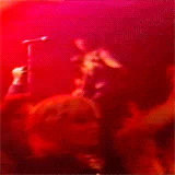 guitar glam metal heavy metal wasp music PFP