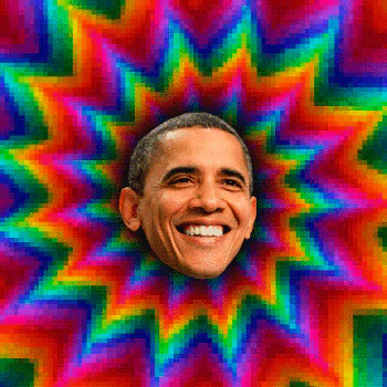 United States American president USA Barack Obama Celebrity PFP