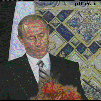 Download President Russia Vladimir Putin Celebrity PFP