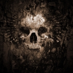 Download Dark Skull PFP