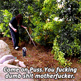 Download Funny Humor Heavy Metal Ozzy Osbourne Music PFP