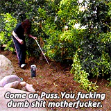 funny humor heavy metal Ozzy Osbourne music PFP