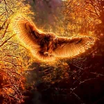 Animal owl PFP
