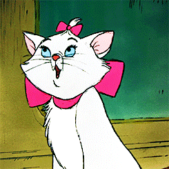 Download Cat Disney The Aristocats Movie PFP