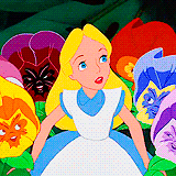 Alice in Wonderland (1951) Pfp