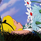 Download Alice In Wonderland (1951) Disney Alice In Wonderland Movie PFP