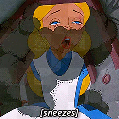 Alice In Wonderland (1951) Disney Alice In Wonderland movie PFP