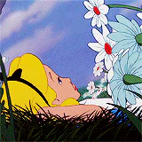 Alice In Wonderland (1951) Disney Alice In Wonderland movie PFP