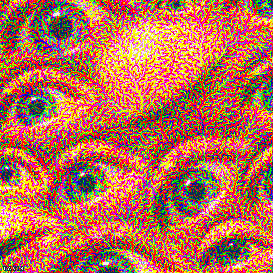 Download Eye CGI Fractal Abstract PFP