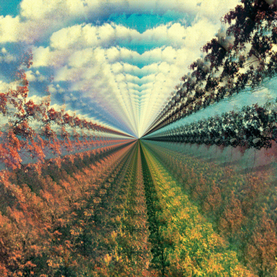 CGI fractal abstract forum avatar: radial vanishing-point of repeating tree and cloud patterns in vivid greens, golds and cyan.