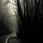 Download Nature Fog PFP