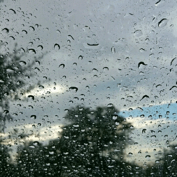 Download Water Drop Water Rain Photography PFP