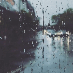 Download Photography Rain PFP