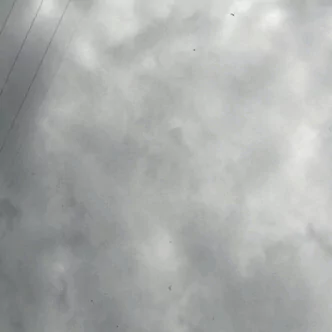 photography rain PFP