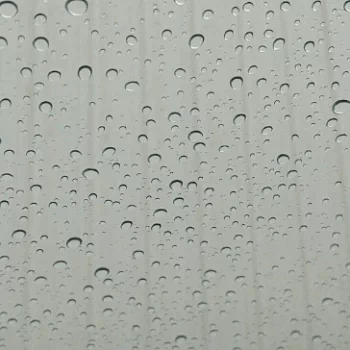 photography rain PFP