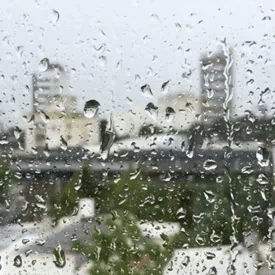 photography rain PFP