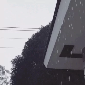 photography rain PFP