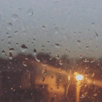 photography rain PFP