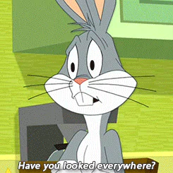 Lola Bunny Bugs Bunny comedy Looney Tunes TV Show PFP
