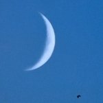 Download Nature Cloud PFP