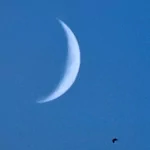 nature cloud PFP