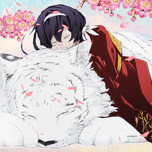 Anime-style forum avatar featuring a character from Bungou Stray Dogs resting with a large white wolf under blooming cherry blossoms.