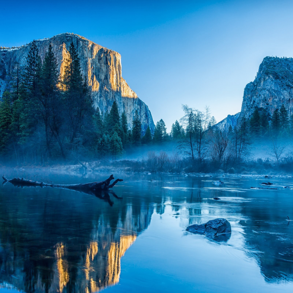 Yosemite National Park Pfp