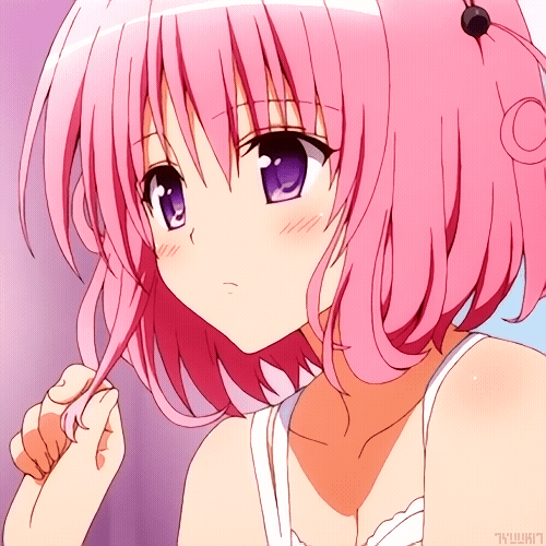 Download To Love-Ru Anime PFP