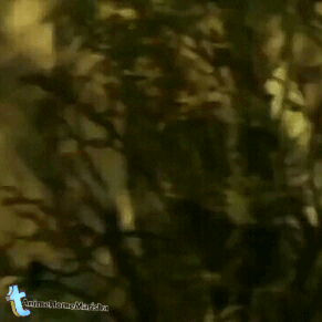 Download Assassination Classroom Anime PFP