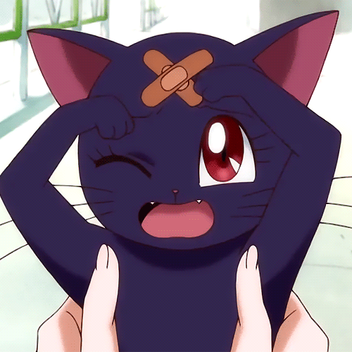 Sailor Moon anime cat Luna winking, bandage X on her forehead, held by hands — shown as a forum avatar/pfp.